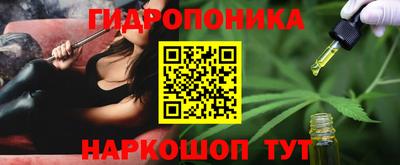 стаф Сертолово